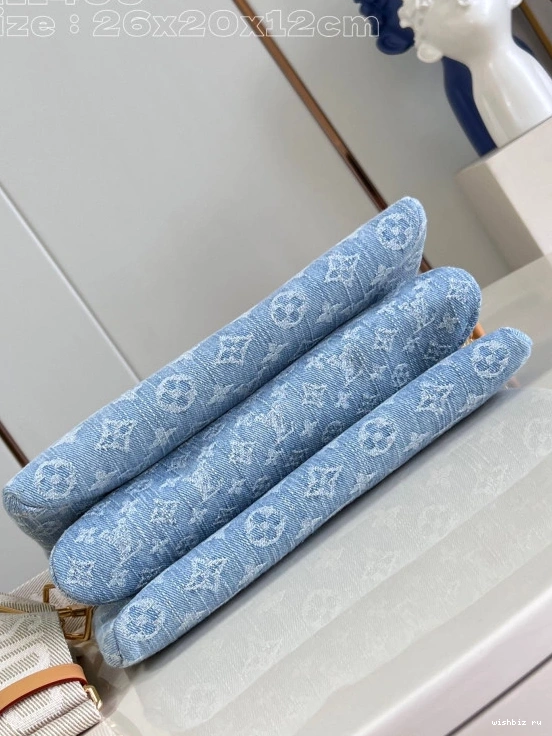 WIS BB LOUIS COUSSIN VUITTON 0112